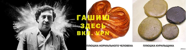 spice Няндома