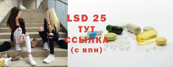 spice Няндома