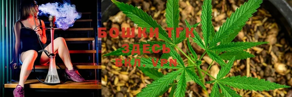 PSILOCYBIN Нягань