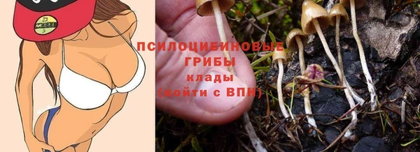 PSILOCYBIN Нягань
