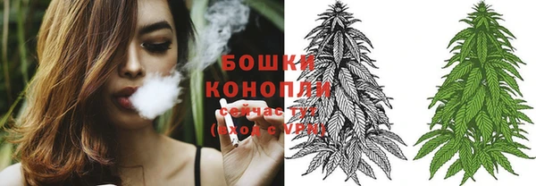 spice Няндома