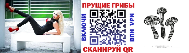 kraken ССЫЛКА  купить наркотики цена  Задонск  Галлюциногенные грибы GOLDEN TEACHER 